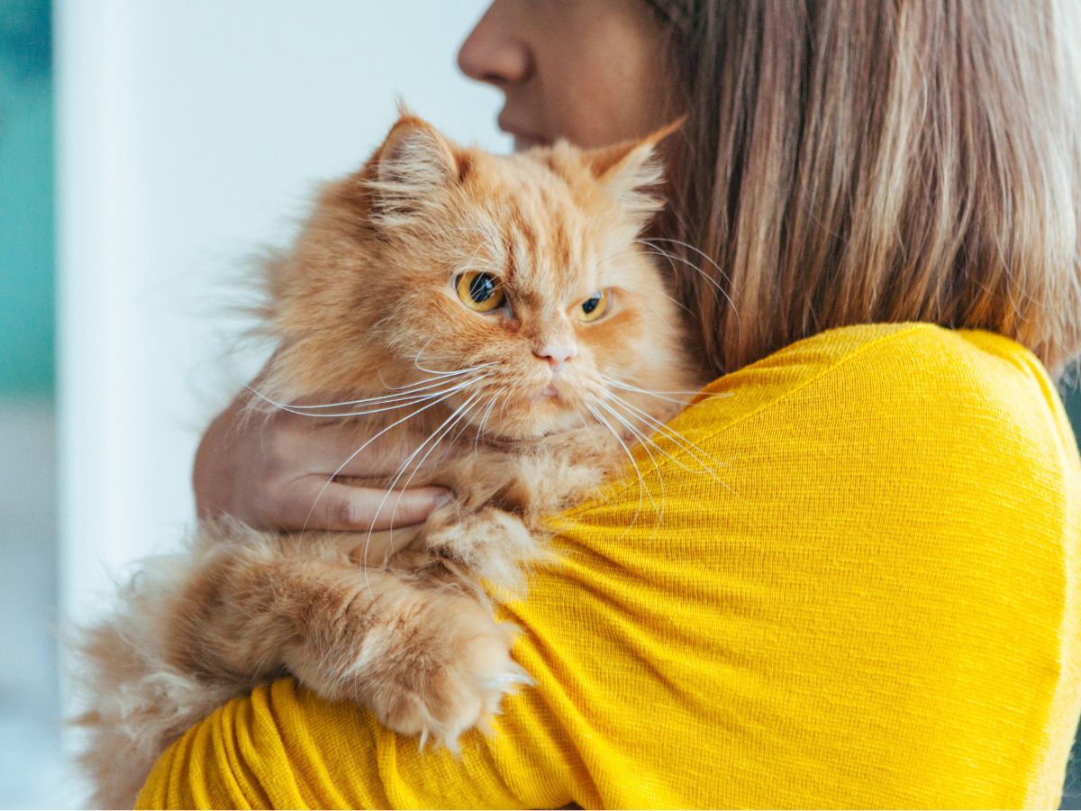 a female holding a cat